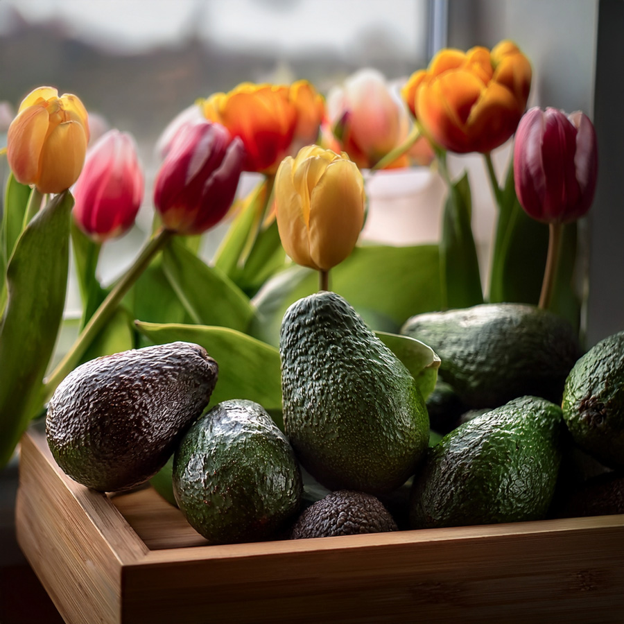 Avocados in Netherlands next to tulips